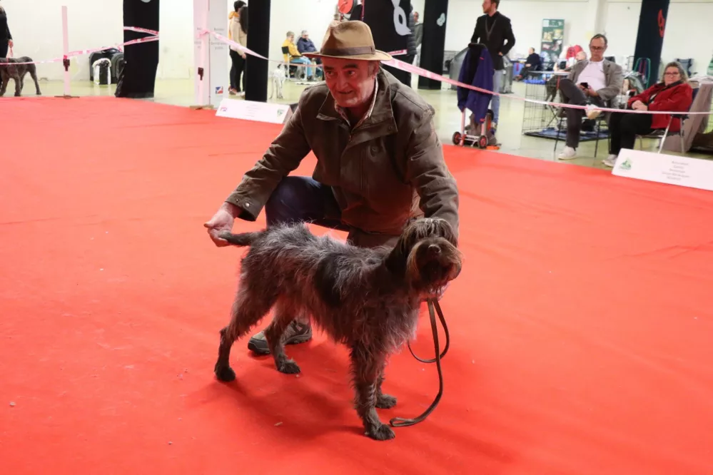 résultats de l'expo de bourges specialdes de raca sita gagne le cacib