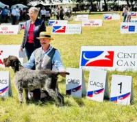 Bernard gagne les championnat de France avec Riri des grandes origines