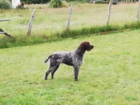 saillie cotée 7 entre oula la et sirus des grandes origines naissance fin novembre