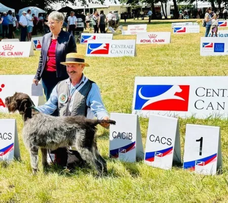 Riri des grandes origines , champion de France de beauté à Dijon